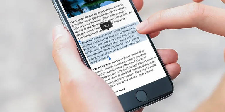 How to Copy and Paste on iPhone