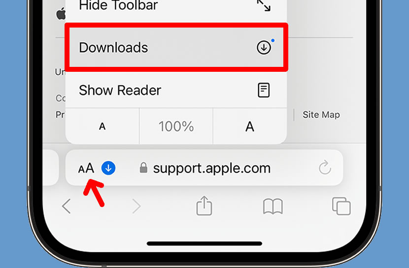 view downloads iphone safari